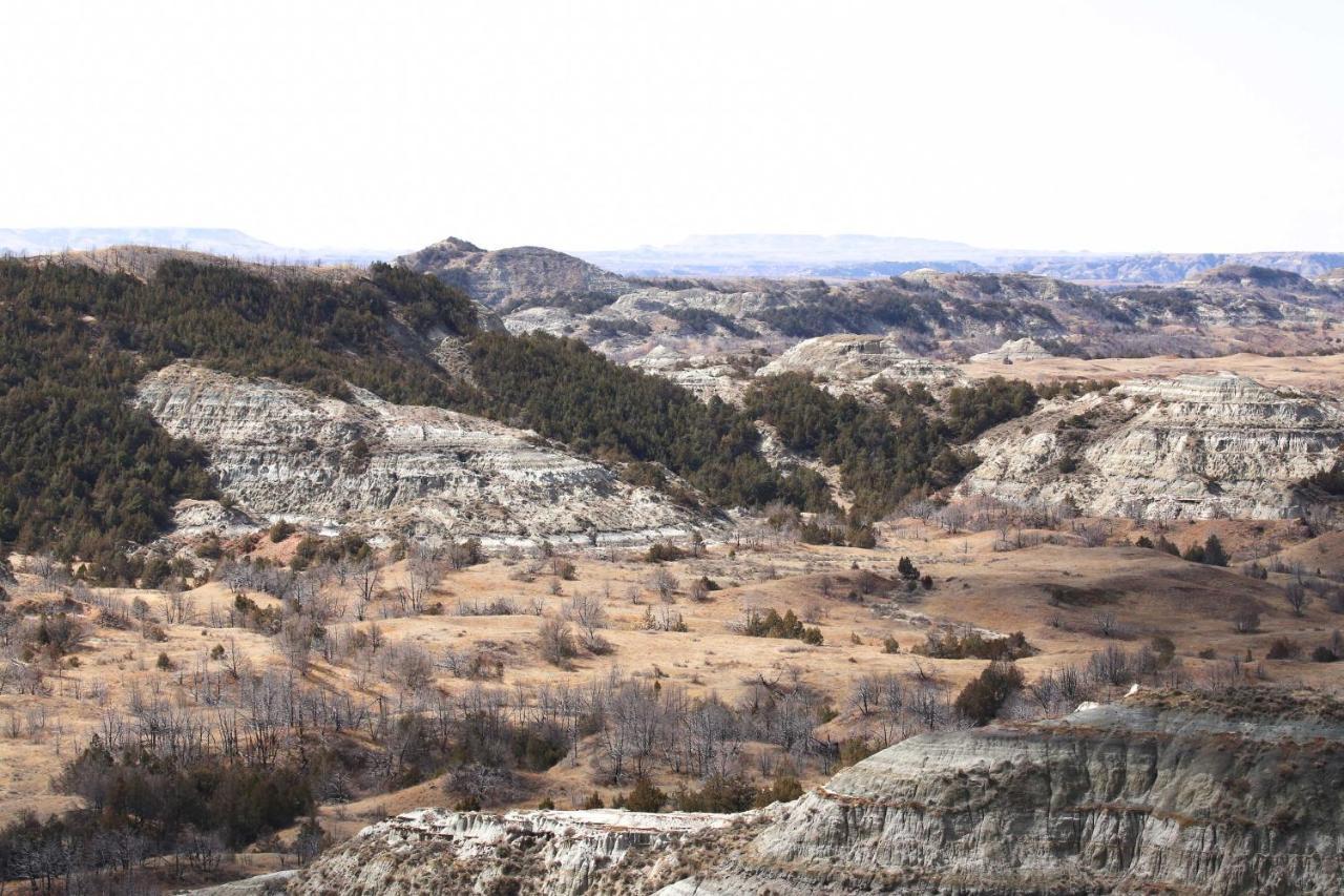 Badlands Suite Less Than 1 Mi To Teddy Roosevelt Park! Medora Buitenkant foto