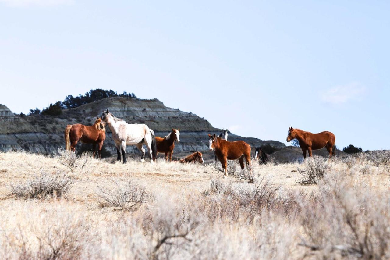 Badlands Suite Less Than 1 Mi To Teddy Roosevelt Park! Medora Buitenkant foto