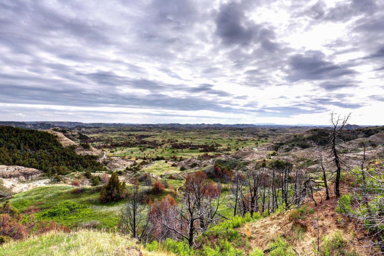 Badlands Suite Less Than 1 Mi To Teddy Roosevelt Park! Medora Buitenkant foto